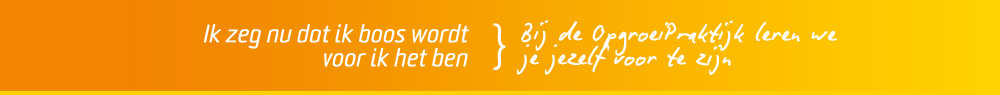 Gedrag - ik zeg nu dat ik boos word